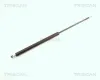 Gasfeder, Koffer-/Laderaum hinten links hinten rechts TRISCAN 8710 25222