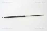 Gasfeder, Koffer-/Laderaum hinten links hinten rechts TRISCAN 8710 25228
