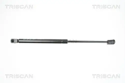 Gasfeder, Koffer-/Laderaum hinten links hinten rechts TRISCAN 8710 25238