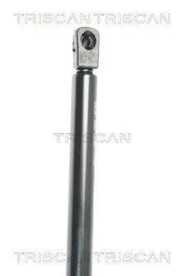 Gasfeder, Koffer-/Laderaum hinten links hinten rechts TRISCAN 8710 25238 Bild Gasfeder, Koffer-/Laderaum hinten links hinten rechts TRISCAN 8710 25238