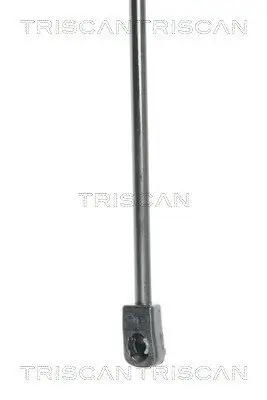 Gasfeder, Koffer-/Laderaum hinten links hinten rechts TRISCAN 8710 25238 Bild Gasfeder, Koffer-/Laderaum hinten links hinten rechts TRISCAN 8710 25238