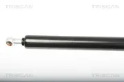 Gasfeder, Koffer-/Laderaum TRISCAN 8710 25246