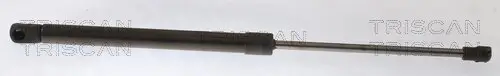 Gasfeder, Koffer-/Laderaum hinten links hinten rechts TRISCAN 8710 25282
