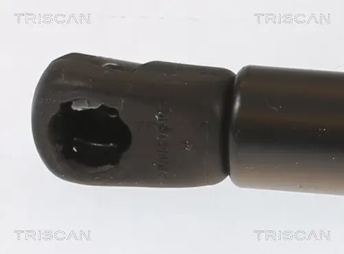 Gasfeder, Koffer-/Laderaum hinten links hinten rechts TRISCAN 8710 25282 Bild Gasfeder, Koffer-/Laderaum hinten links hinten rechts TRISCAN 8710 25282