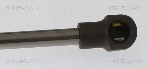 Gasfeder, Koffer-/Laderaum hinten links hinten rechts TRISCAN 8710 25282 Bild Gasfeder, Koffer-/Laderaum hinten links hinten rechts TRISCAN 8710 25282