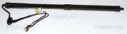 Gasfeder, Koffer-/Laderaum hinten links hinten rechts TRISCAN 8710 25301
