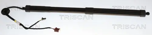 Gasfeder, Koffer-/Laderaum hinten links hinten rechts TRISCAN 8710 25302