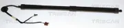 Gasfeder, Koffer-/Laderaum hinten links hinten rechts TRISCAN 8710 25302
