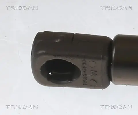 Gasfeder, Motorhaube vorne links vorne links vorne rechts vorne rechts TRISCAN 8710 27110 Bild Gasfeder, Motorhaube vorne links vorne links vorne rechts vorne rechts TRISCAN 8710 27110