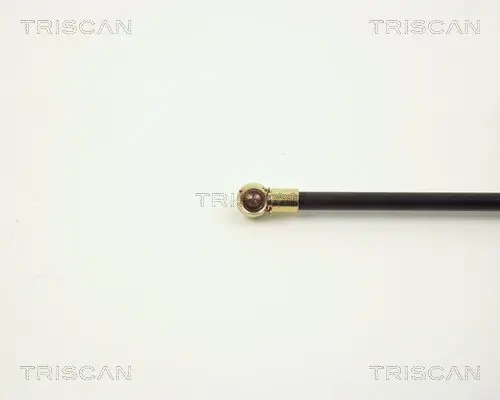 Gasfeder, Koffer-/Laderaum TRISCAN 8710 2711 Bild Gasfeder, Koffer-/Laderaum TRISCAN 8710 2711