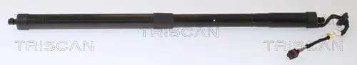 Gasfeder, Koffer-/Laderaum TRISCAN 8710 27307