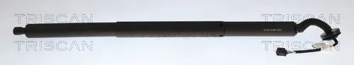 Gasfeder, Koffer-/Laderaum rechts TRISCAN 8710 27316