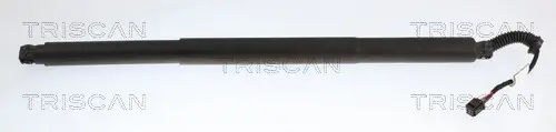 Gasfeder, Koffer-/Laderaum rechts TRISCAN 8710 27321