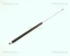 Gasfeder, Koffer-/Laderaum hinten links hinten rechts TRISCAN 8710 28217