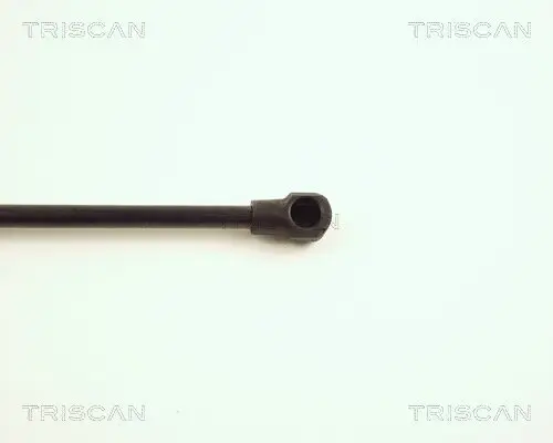 Gasfeder, Koffer-/Laderaum hinten links hinten rechts TRISCAN 8710 28221 Bild Gasfeder, Koffer-/Laderaum hinten links hinten rechts TRISCAN 8710 28221