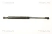 Gasfeder, Koffer-/Laderaum TRISCAN 8710 28241