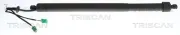 Gasfeder, Koffer-/Laderaum rechts TRISCAN 8710 28304