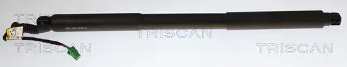 Gasfeder, Koffer-/Laderaum rechts TRISCAN 8710 28306