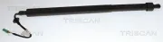 Gasfeder, Koffer-/Laderaum rechts TRISCAN 8710 28310