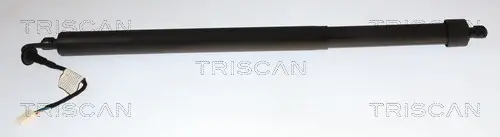 Gasfeder, Koffer-/Laderaum links TRISCAN 8710 28311