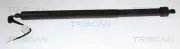 Gasfeder, Koffer-/Laderaum links TRISCAN 8710 28311