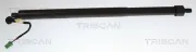 Gasfeder, Koffer-/Laderaum rechts TRISCAN 8710 28312