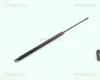 Gasfeder, Koffer-/Laderaum TRISCAN 8710 2908 Bild Gasfeder, Koffer-/Laderaum TRISCAN 8710 2908