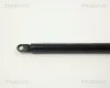 Gasfeder, Koffer-/Laderaum TRISCAN 8710 2908 Bild Gasfeder, Koffer-/Laderaum TRISCAN 8710 2908