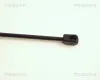 Gasfeder, Motorhaube TRISCAN 8710 29106 Bild Gasfeder, Motorhaube TRISCAN 8710 29106