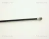 Gasfeder, Koffer-/Laderaum TRISCAN 8710 2912 Bild Gasfeder, Koffer-/Laderaum TRISCAN 8710 2912