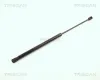 Gasfeder, Koffer-/Laderaum TRISCAN 8710 2913