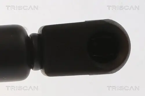 Gasfeder, Motorhaube vorne links vorne rechts TRISCAN 8710 29159 Bild Gasfeder, Motorhaube vorne links vorne rechts TRISCAN 8710 29159