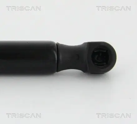 Gasfeder, Koffer-/Laderaum hinten links hinten rechts TRISCAN 8710 292002 Bild Gasfeder, Koffer-/Laderaum hinten links hinten rechts TRISCAN 8710 292002