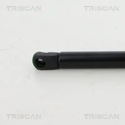 Gasfeder, Koffer-/Laderaum hinten links hinten rechts TRISCAN 8710 292017 Bild Gasfeder, Koffer-/Laderaum hinten links hinten rechts TRISCAN 8710 292017