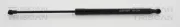 Gasfeder, Koffer-/Laderaum TRISCAN 8710 292022