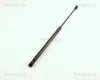 Gasfeder, Koffer-/Laderaum TRISCAN 8710 29203