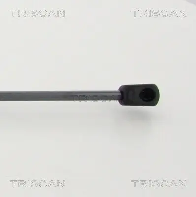 Gasfeder, Koffer-/Laderaum hinten links hinten rechts TRISCAN 8710 292041 Bild Gasfeder, Koffer-/Laderaum hinten links hinten rechts TRISCAN 8710 292041