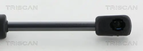 Gasfeder, Koffer-/Laderaum hinten links hinten rechts TRISCAN 8710 292043 Bild Gasfeder, Koffer-/Laderaum hinten links hinten rechts TRISCAN 8710 292043