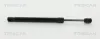 Gasfeder, Koffer-/Laderaum hinten links hinten rechts TRISCAN 8710 29204