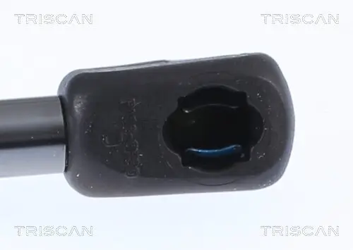 Gasfeder, Koffer-/Laderaum hinten links hinten rechts TRISCAN 8710 292064 Bild Gasfeder, Koffer-/Laderaum hinten links hinten rechts TRISCAN 8710 292064