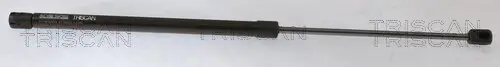 Gasfeder, Koffer-/Laderaum hinten links hinten rechts TRISCAN 8710 292070