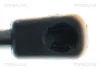 Gasfeder, Koffer-/Laderaum hinten links hinten rechts TRISCAN 8710 292082 Bild Gasfeder, Koffer-/Laderaum hinten links hinten rechts TRISCAN 8710 292082