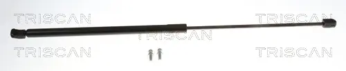 Gasfeder, Koffer-/Laderaum hinten links hinten rechts TRISCAN 8710 292091