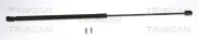 Gasfeder, Koffer-/Laderaum hinten links hinten rechts TRISCAN 8710 292091
