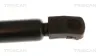Gasfeder, Koffer-/Laderaum hinten links hinten rechts TRISCAN 8710 292091 Bild Gasfeder, Koffer-/Laderaum hinten links hinten rechts TRISCAN 8710 292091