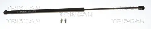 Gasfeder, Koffer-/Laderaum hinten links hinten rechts TRISCAN 8710 292092