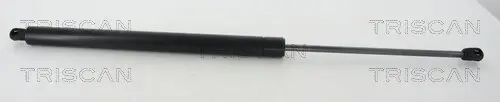 Gasfeder, Koffer-/Laderaum TRISCAN 8710 29214
