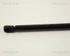Gasfeder, Koffer-/Laderaum TRISCAN 8710 29217 Bild Gasfeder, Koffer-/Laderaum TRISCAN 8710 29217