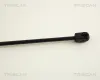 Gasfeder, Koffer-/Laderaum TRISCAN 8710 29218 Bild Gasfeder, Koffer-/Laderaum TRISCAN 8710 29218