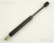 Gasfeder, Koffer-/Laderaum TRISCAN 8710 29220